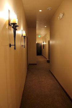 The Williston Boutique Hotel المظهر الخارجي الصورة